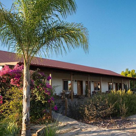 Terra Del Valle Bed & Breakfast Valle de Guadalupe Kültér fotó