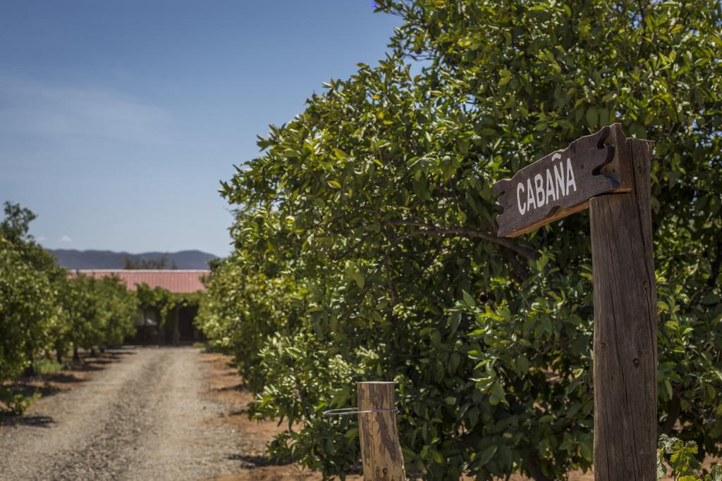 Terra Del Valle Bed & Breakfast Valle de Guadalupe Kültér fotó