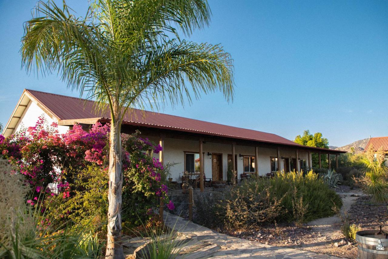 Terra Del Valle Bed & Breakfast Valle de Guadalupe Kültér fotó