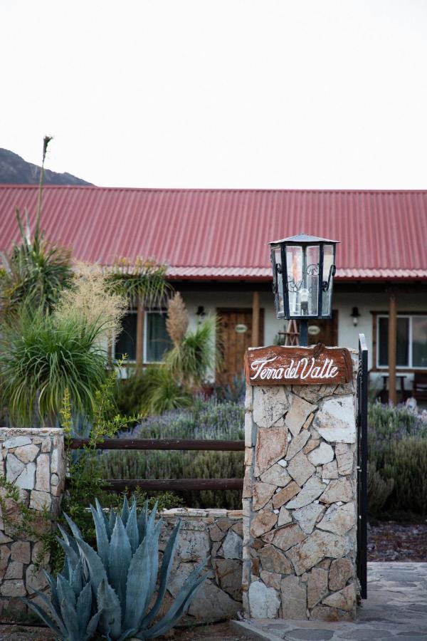 Terra Del Valle Bed & Breakfast Valle de Guadalupe Kültér fotó