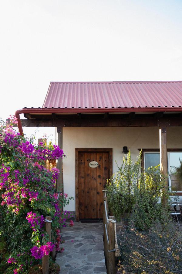 Terra Del Valle Bed & Breakfast Valle de Guadalupe Kültér fotó