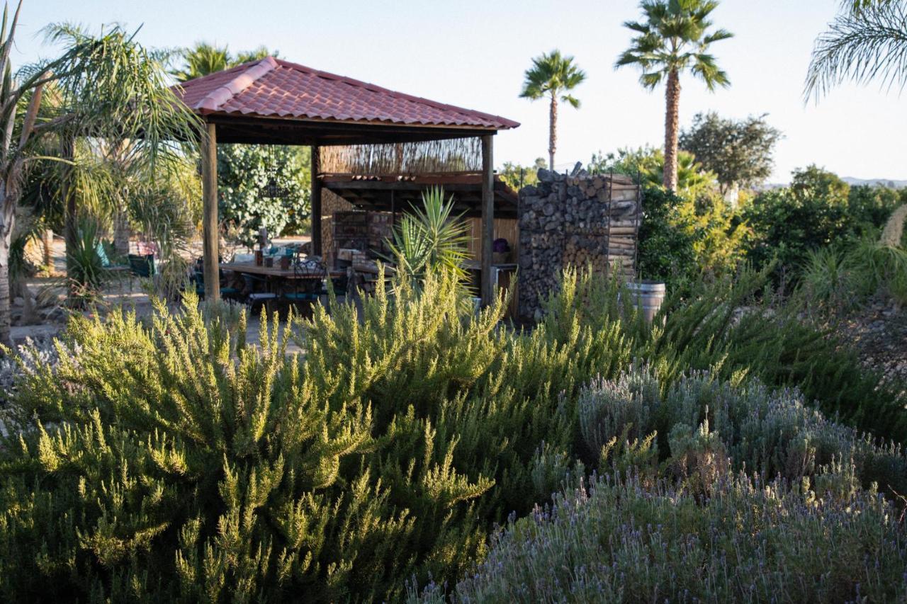 Terra Del Valle Bed & Breakfast Valle de Guadalupe Kültér fotó